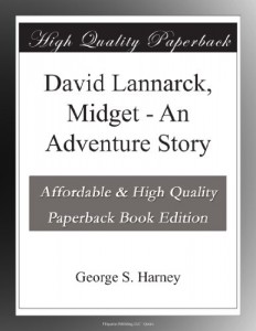 David Lannarck, Midget – An Adventure Story