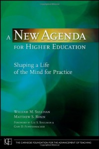 A New Agenda for Higher Education: Shaping a Life of the Mind for Practice