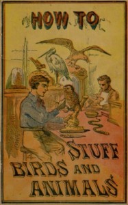 How to Stuff Birds and Animals : A valuable book giving instruction in collecting, preparing, mounting, and preserving birds, animals, and insects