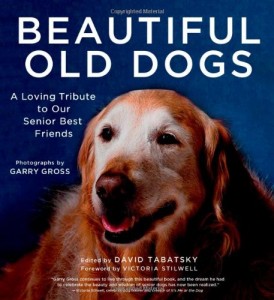 Beautiful Old Dogs: A Loving Tribute to Our Senior Best Friends