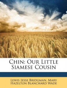 Chin: Our Little Siamese Cousin