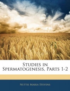 Studies in Spermatogenesis, Parts 1-2 (German Edition)