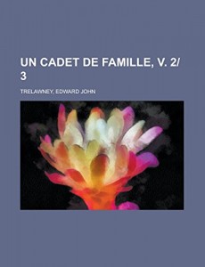 Un Cadet de Famille, v. 2|3 (French Edition)