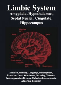 Limbic System: Amygdala, Hippocampus, Hypothalamus, Septal Nuclei, Cingulate, Emotion, Memory, Sexuality, Language, Dreams, Hallucinations, Unconscious Mind