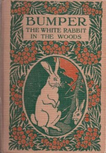 Bumper the White Rabbit in the Woods