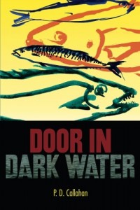 Door In Dark Water