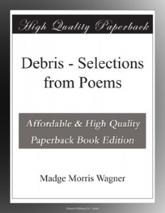 Debris – Selections from Poems