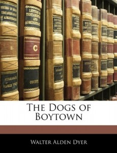The Dogs of Boytown