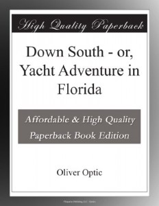 Down South – or, Yacht Adventure in Florida