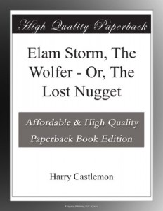 Elam Storm, The Wolfer – Or, The Lost Nugget