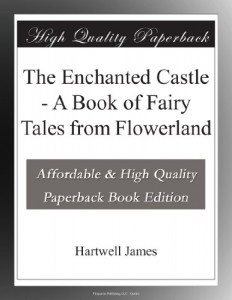 The Enchanted Castle – A Book of Fairy Tales from Flowerland