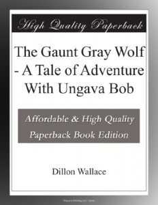 The Gaunt Gray Wolf – A Tale of Adventure With Ungava Bob