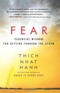 Fear: Essential Wisdom for Getting Through the Storm