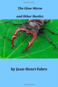 The Glow-Worm and Other Beetles