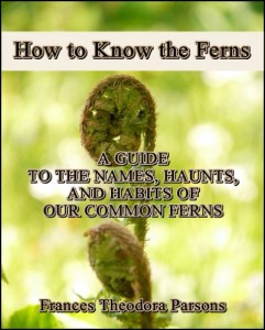 How to Know the Ferns : A Guide to the Names, Haunts and Habitats of Our Common Ferns