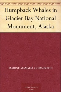 Humpback Whales in Glacier Bay National Monument, Alaska