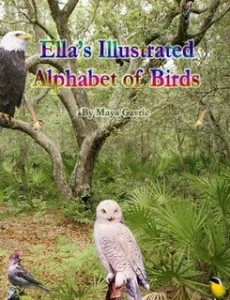 Ella’s Illustrated Alphabet of Birds