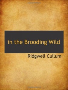 in the Brooding Wild