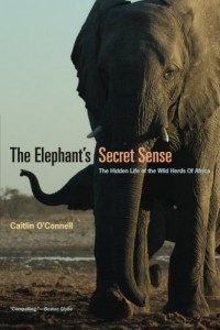 The Elephant’s Secret Sense: The Hidden Life of the Wild Herds of Africa