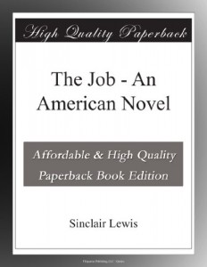 The Job – An American Novel