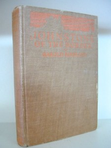 Johnstone of the border