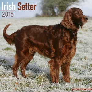 Irish Setter Calendar – Just Irish Setter Calendar – 2015 Wall calendars – Dog Calendars – Monthly Wall Calendar by Avonside