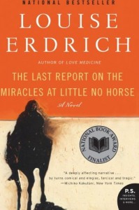 The Last Report on the Miracles at Little No Horse: A Novel