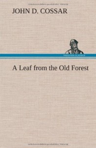 A Leaf from the Old Forest