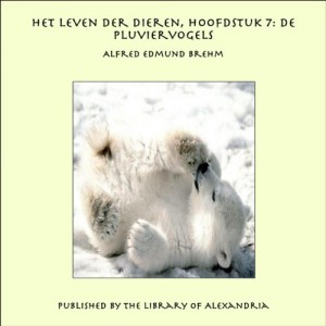 Het Leven der Dieren, Hoofdstuk 7: De Pluviervogels