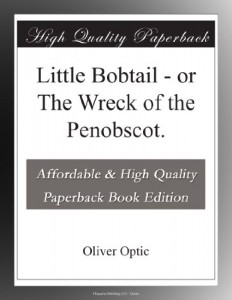 Little Bobtail – or The Wreck of the Penobscot.