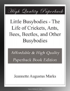Little Busybodies – The Life of Crickets, Ants, Bees, Beetles, and Other Busybodies