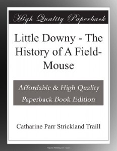 Little Downy – The History of A Field-Mouse