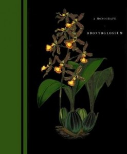 A Monograph of Odontoglossum