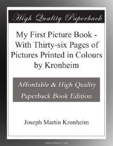 My First Picture Book – With Thirty-six Pages of Pictures Printed in Colours by Kronheim