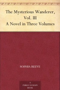 The Mysterious Wanderer, Vol. III A Novel in Three Volumes