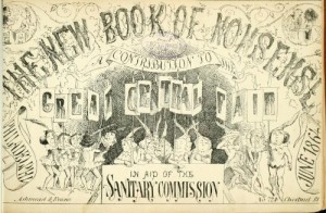 The New Book Of Nonsense A Contribution To The Great Central Fair, Philadelphia, June, 1864, In Aid Of The Sanitary Commission