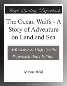 The Ocean Waifs – A Story of Adventure on Land and Sea