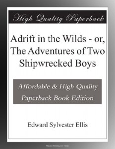 Adrift in the Wilds – or, The Adventures of Two Shipwrecked Boys