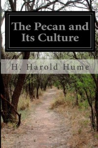 The Pecan and Its Culture