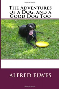 The Adventures of a Dog, and a Good Dog Too