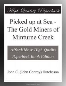 Picked up at Sea – The Gold Miners of Minturne Creek
