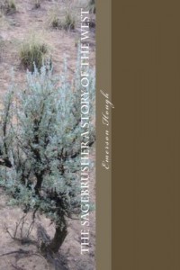 The Sagebrusher A Story of the West