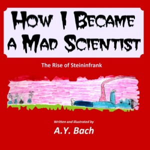 How I Became A Mad Scientist – The Rise of Steininfrank