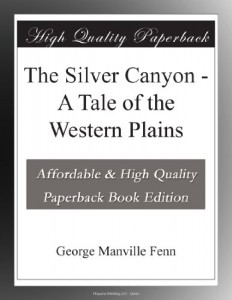 The Silver Canyon – A Tale of the Western Plains