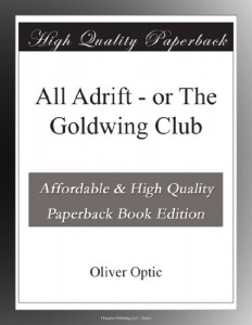 All Adrift – or The Goldwing Club
