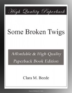 Some Broken Twigs