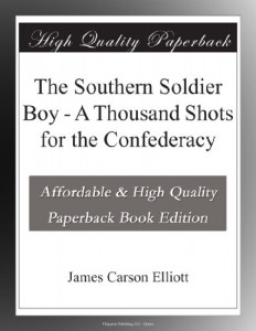 The Southern Soldier Boy – A Thousand Shots for the Confederacy