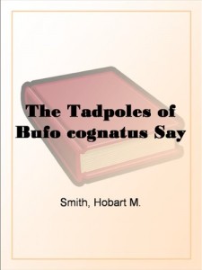 The Tadpoles of Bufo cognatus Say