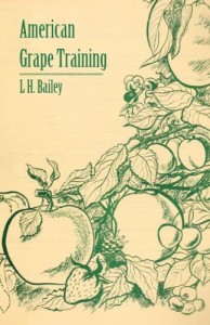 American Grape Training – An Account of the Leading Forms Now in Use of Training the American Grapes