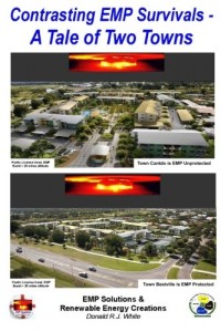 Contrast EMP Survivals – A Tale of Two Towns: This novel contrasts a cataclysmic Electromagnetic Pulse burst over two towns. Cantville, was EMP … (5 Vol. EMP Protetio Series) (Volume 2)